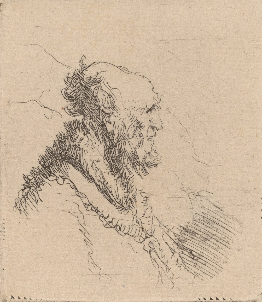 Hombre calvo y viejo con barba corta de perfil de Rembrandt van Rijn