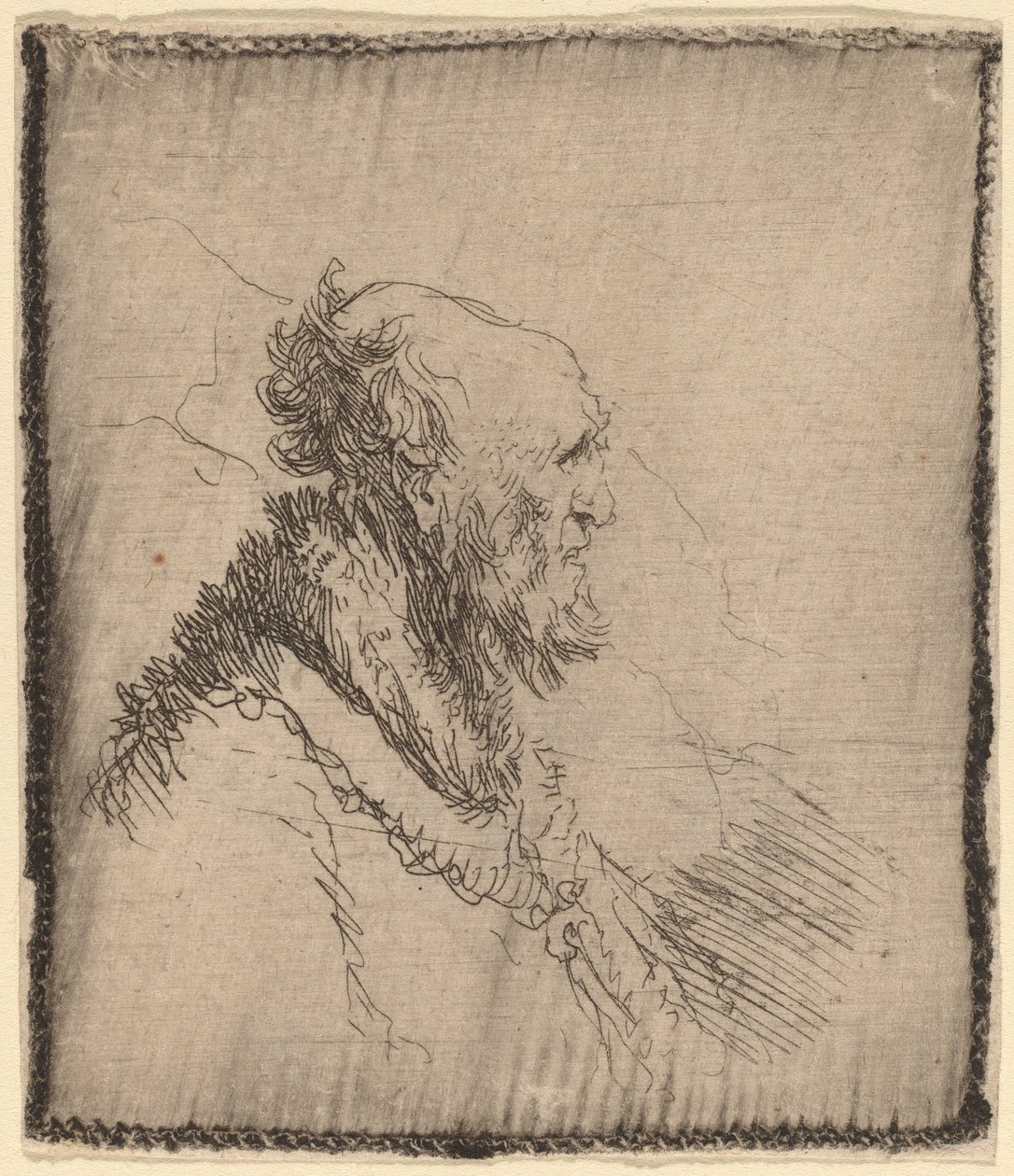 Viejo calvo con barba corta de perfil, c. 1635 de Rembrandt van Rijn