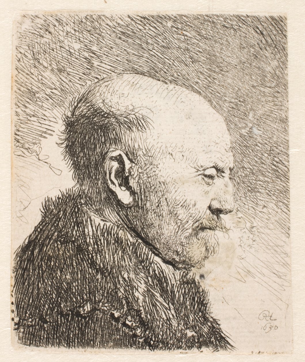 Hombre calvo de perfil (¿padre de Rembrandt?) de Rembrandt van Rijn