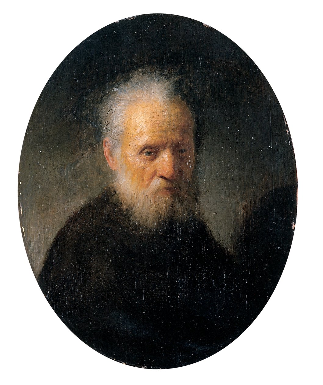 Viejo barbudo de Rembrandt van Rijn