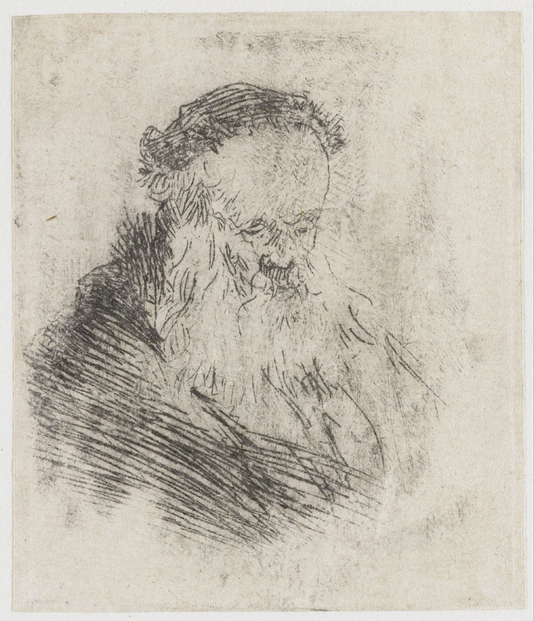 Anciano barbudo con la frente alta de Rembrandt van Rijn