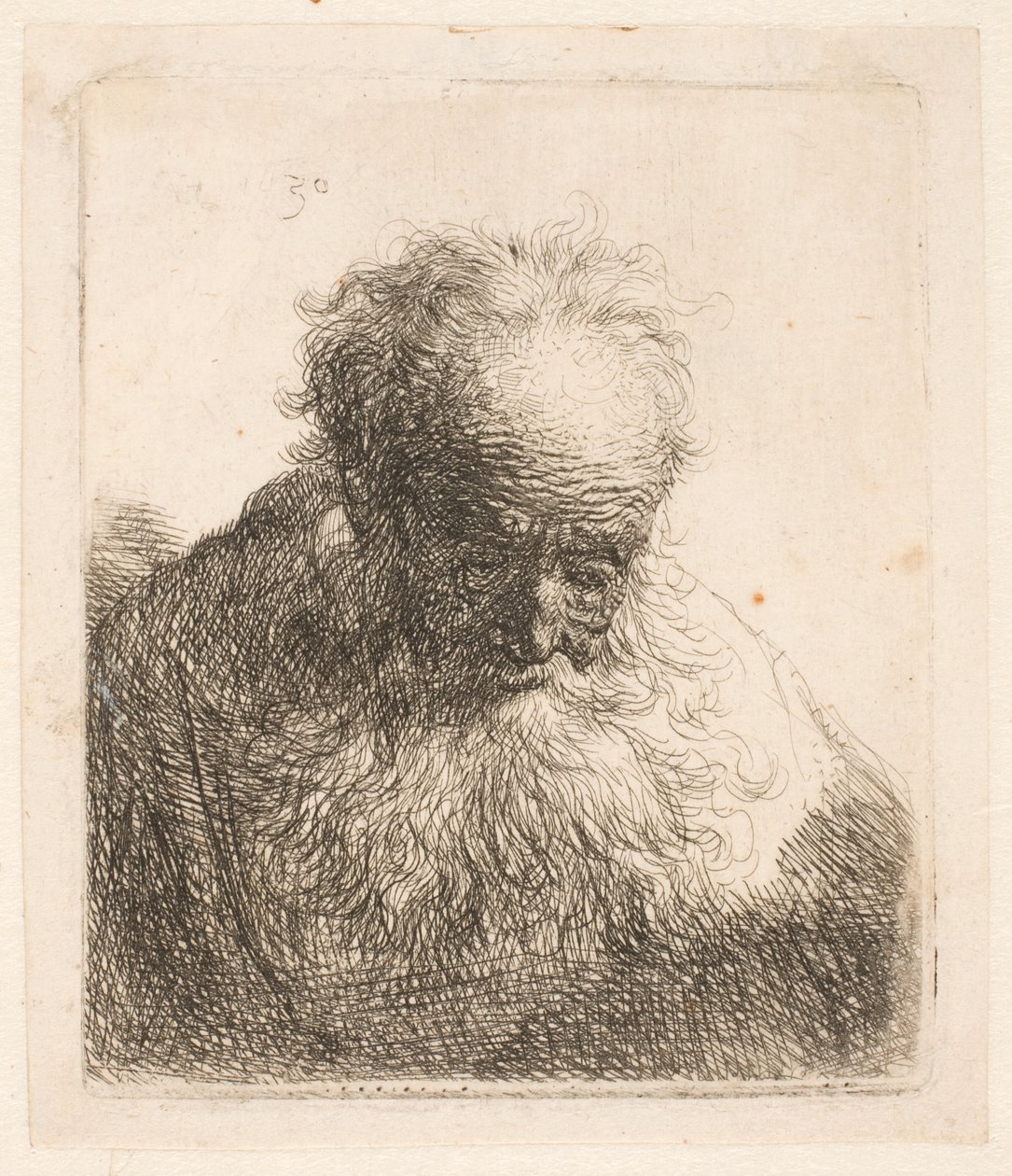 Busto de un anciano con barba espesa: la cabeza inclinada hacia delante; el hombro izquierdo sin sombrear de Rembrandt van Rijn