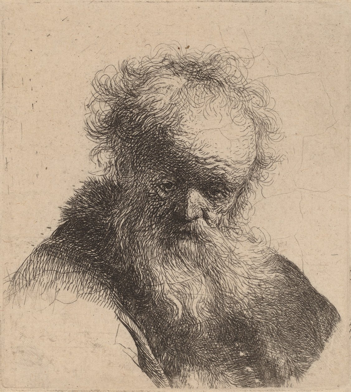 Busto de un anciano con barba larga y manga blanca, c. 1630 de Rembrandt van Rijn