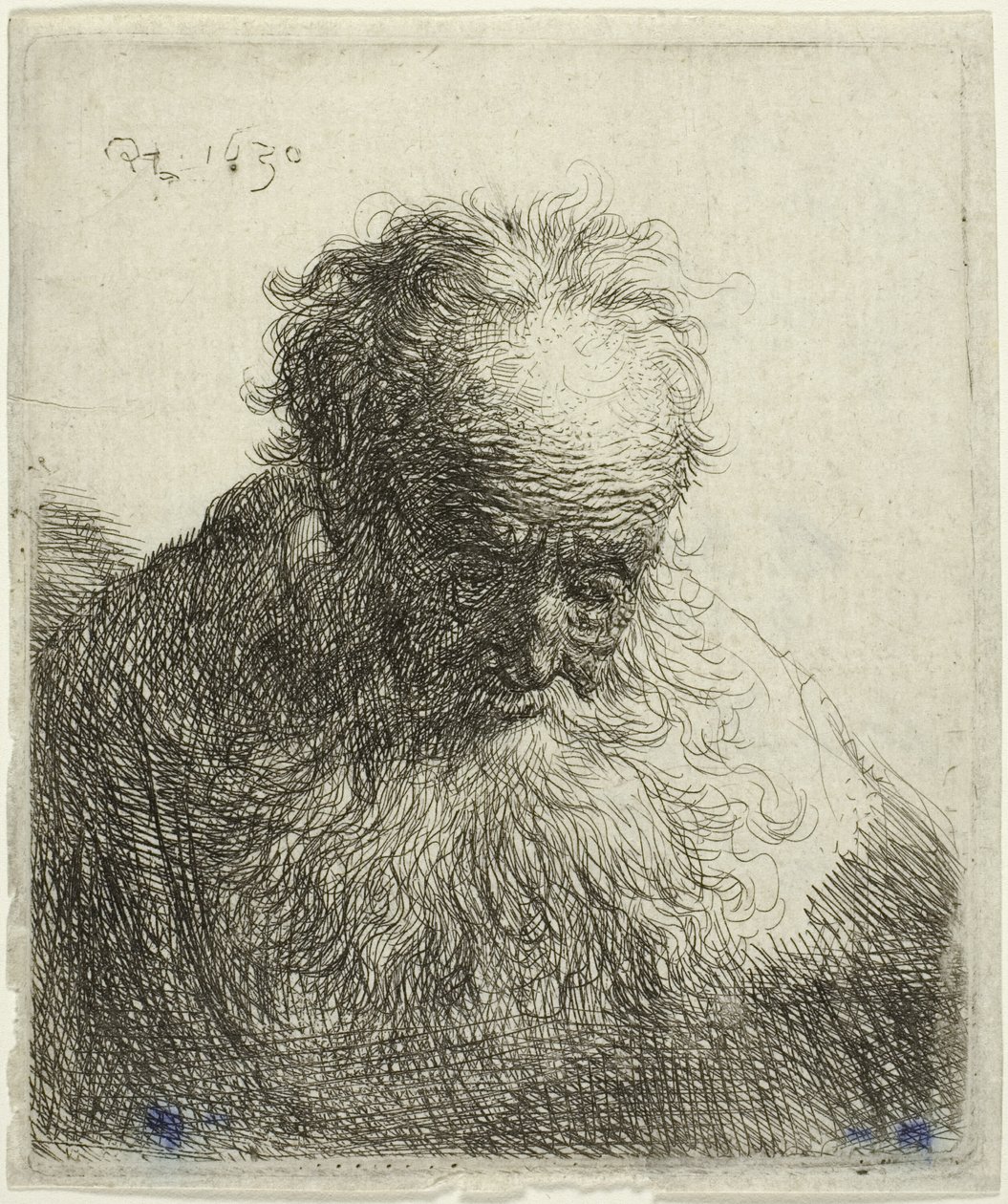Busto de un Hombre Viejo con Barba Fluyente: La Cabeza Inclinada Hacia Adelante: Hombro Izquierdo Sin Sombrear de Rembrandt van Rijn