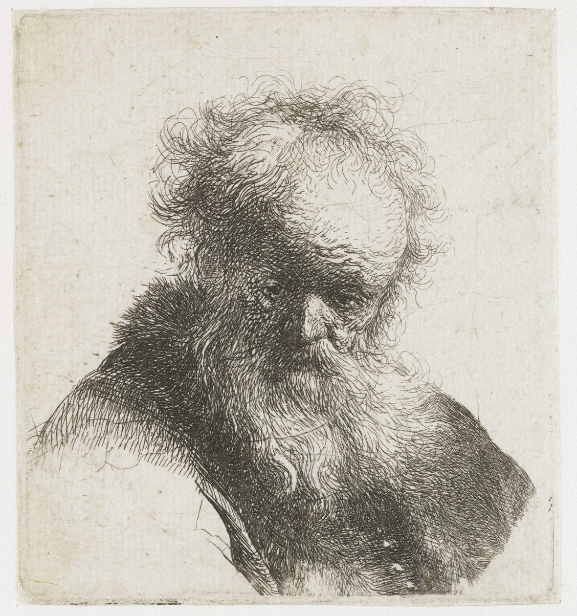 Busto de un anciano con barba fluida y manga blanca de Rembrandt van Rijn
