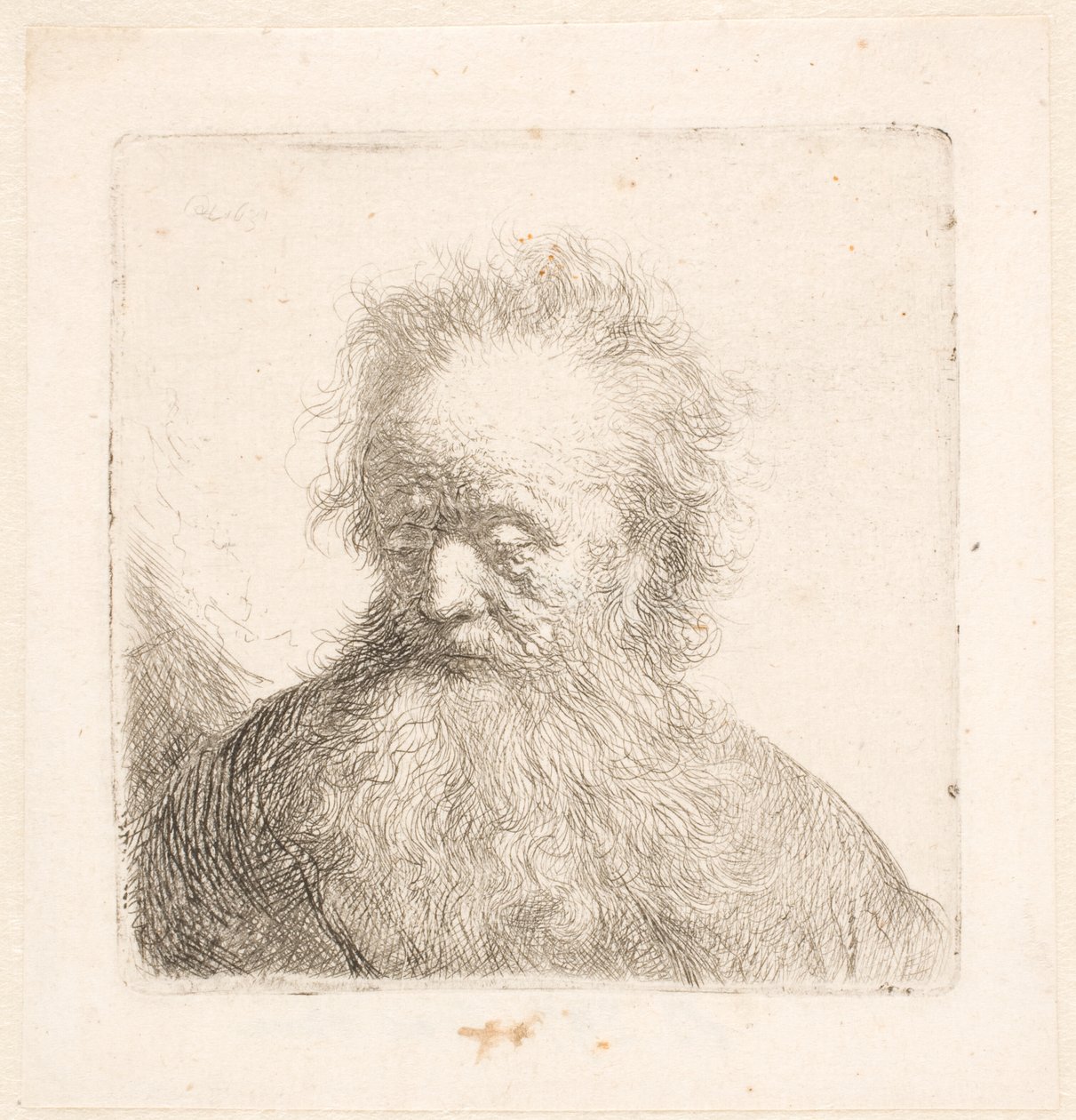 Busto de un anciano con barba larga: cabeza casi erguida; mirada baja; la vista ligeramente hacia la izquierda de Rembrandt van Rijn