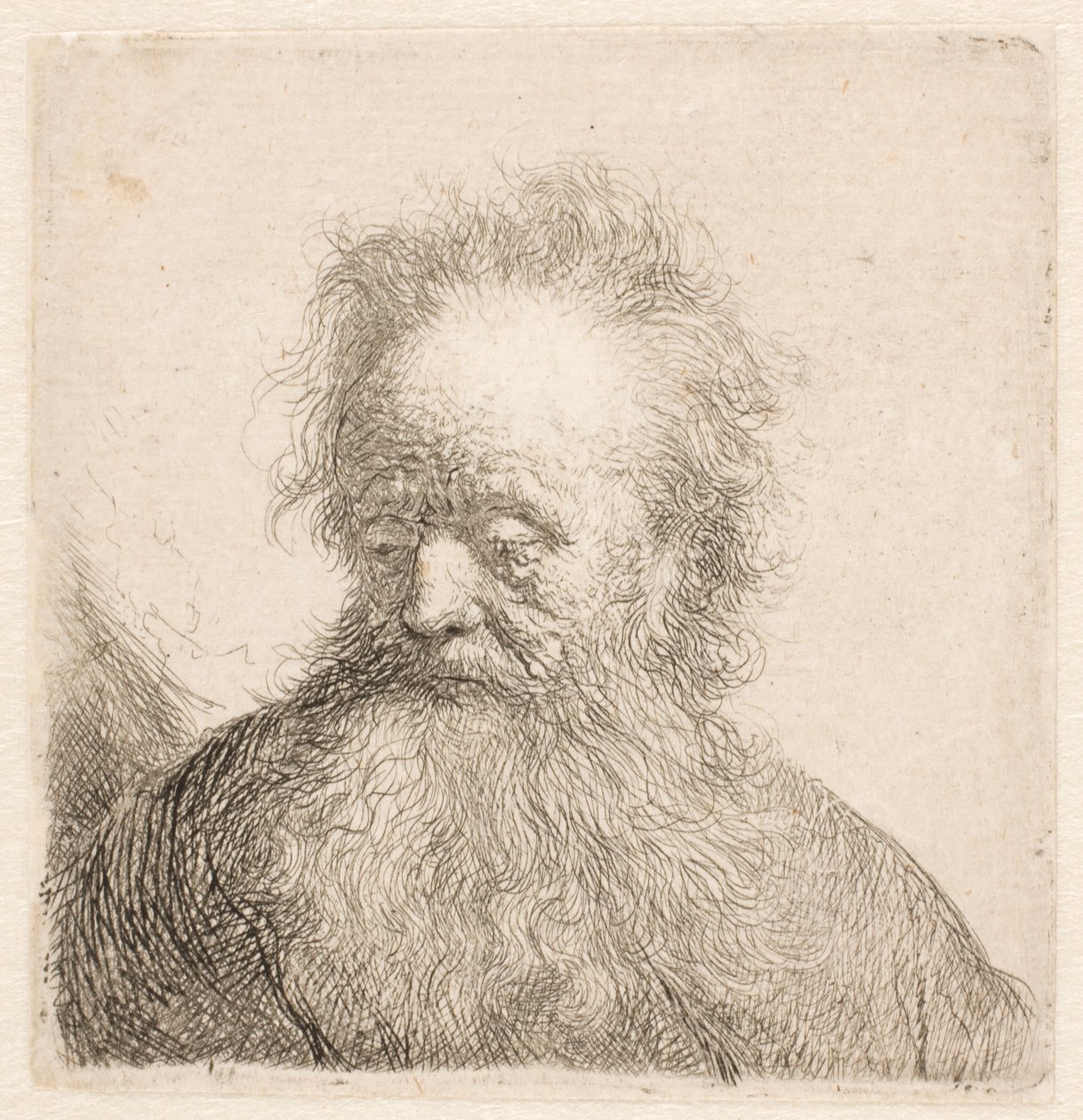 Busto de un anciano con barba larga: cabeza casi erguida; mirada baja; la vista ligeramente hacia la izquierda de Rembrandt van Rijn