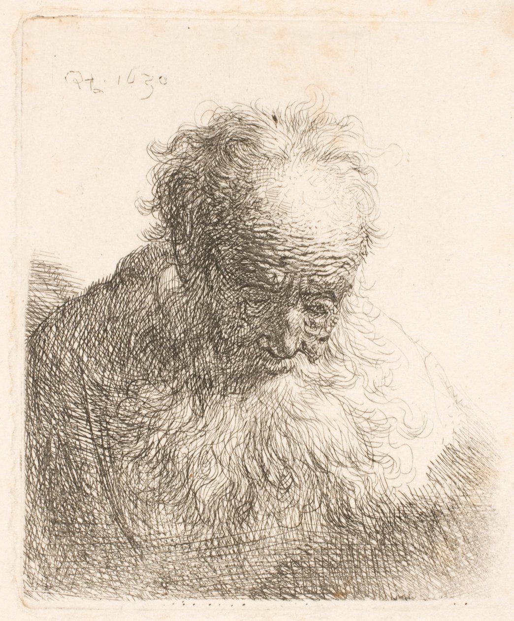 Busto de un anciano con barba larga: la cabeza inclinada hacia delante; el hombro izquierdo sin sombrear de Rembrandt van Rijn