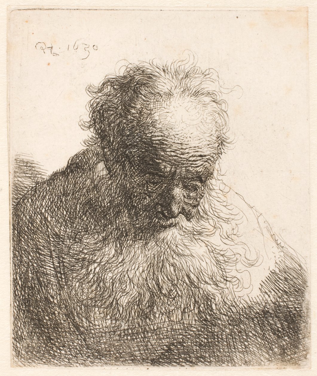 Busto de un anciano con barba larga: la cabeza inclinada hacia delante; el hombro izquierdo sin sombrear de Rembrandt van Rijn