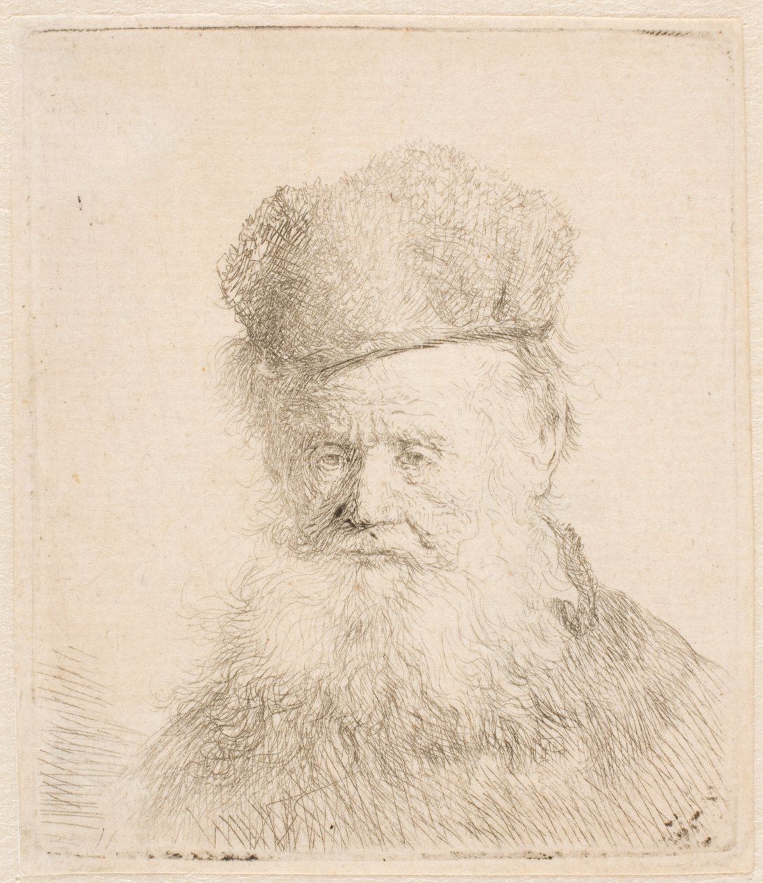 Busto de un anciano con gorro de piel y barba larga: casi de frente: mirada directa de Rembrandt van Rijn