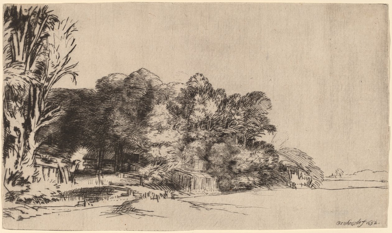 Grupo de árboles con una vista de Rembrandt van Rijn