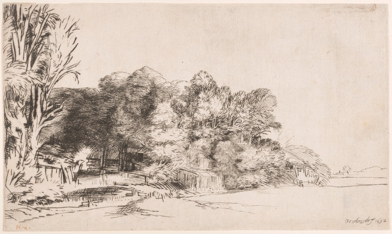 Grupo de árboles con una vista de Rembrandt van Rijn
