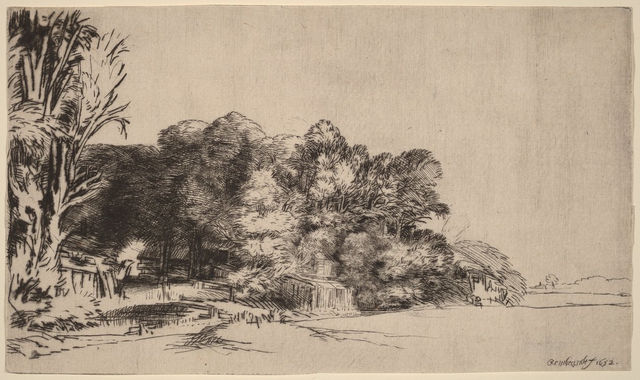 Grupo de árboles con vistas de Rembrandt van Rijn