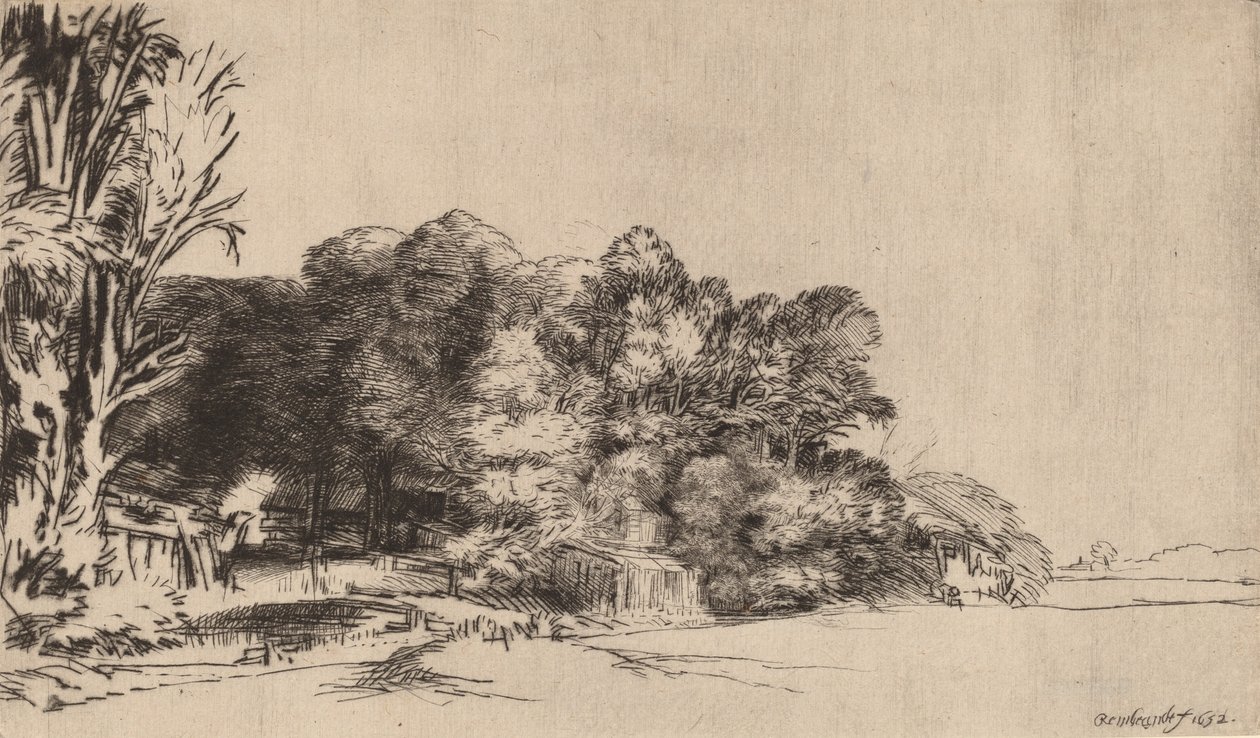 Grupo de árboles con una vista de Rembrandt van Rijn