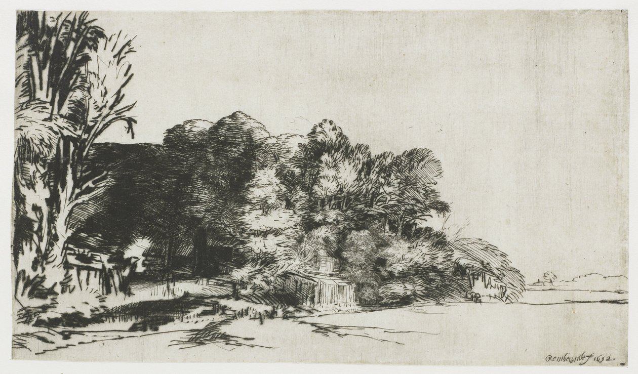 Un grupo de árboles con una vista de Rembrandt van Rijn