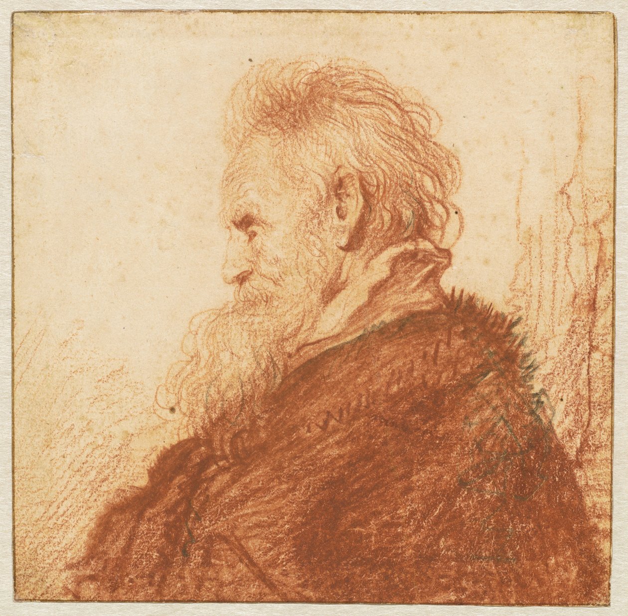 Cabeza de un anciano (recto) de Rembrandt van Rijn