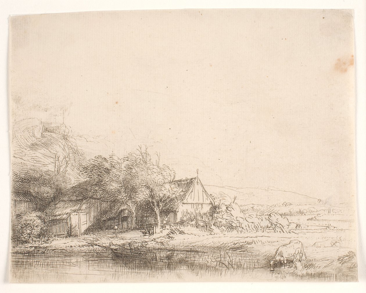 Paisaje con una vaca bebiendo de Rembrandt van Rijn