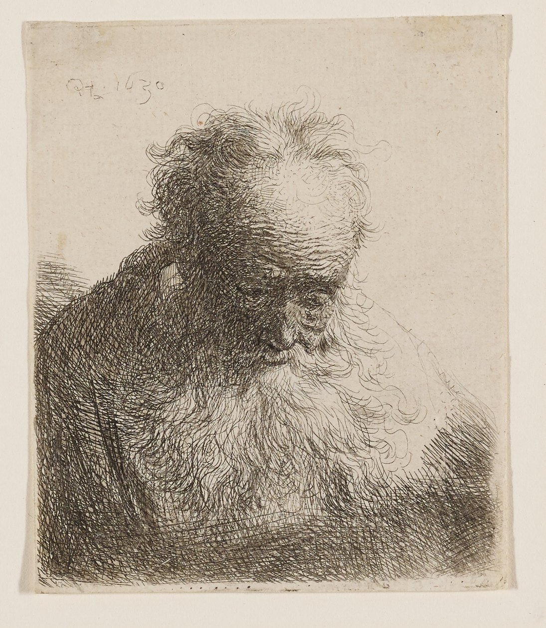 Anciano con barba espesa (con la cabeza inclinada hacia delante y el hombro izquierdo sin sombrear) de Rembrandt van Rijn