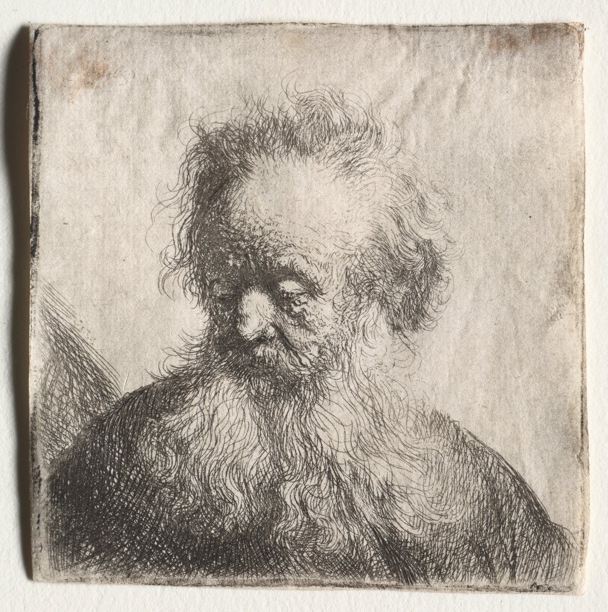 Old Man with a Flowing Beard: Bust de Rembrandt van Rijn