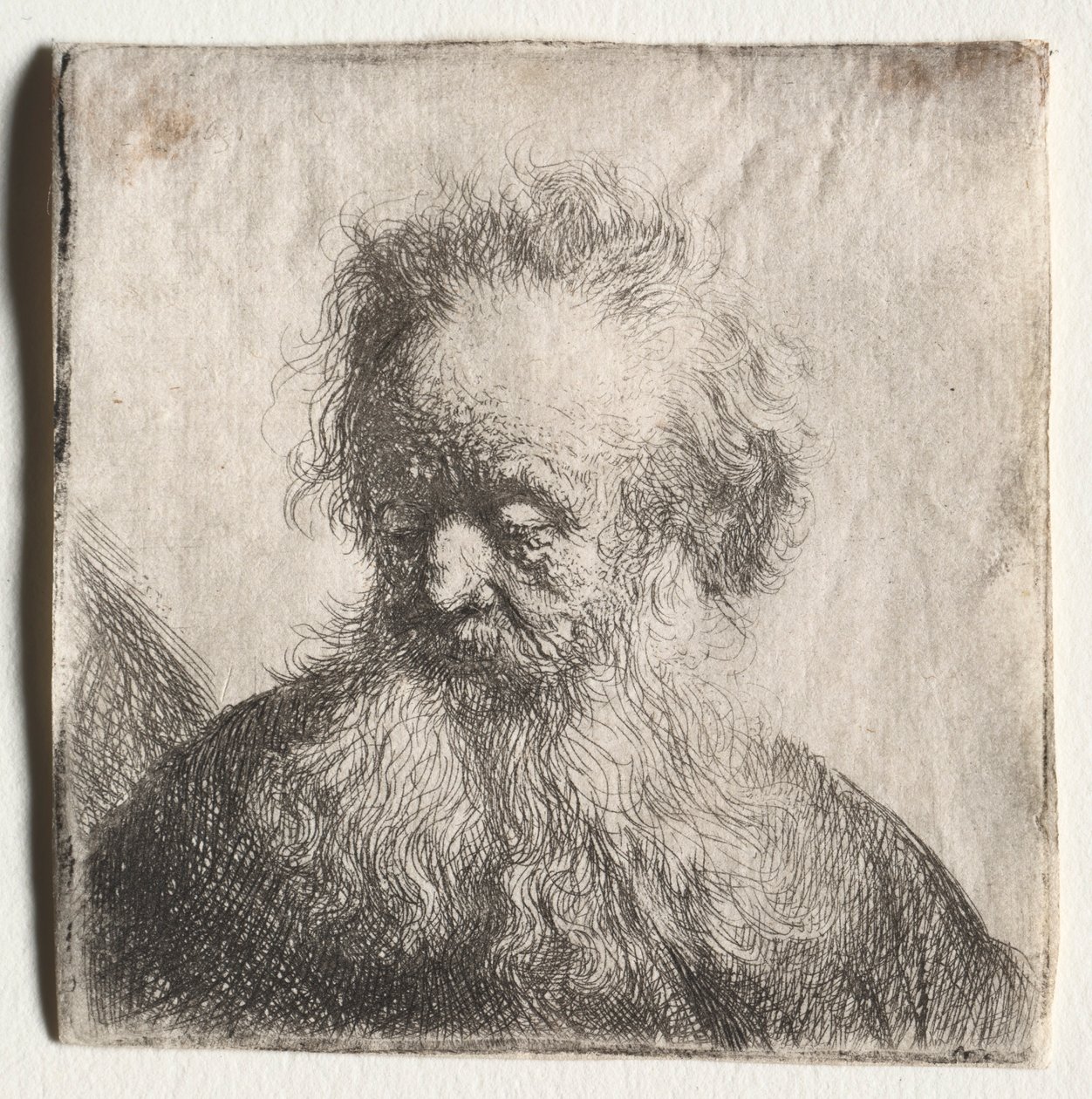 Viejo con barba fluida: Busto, 1631 de Rembrandt van Rijn