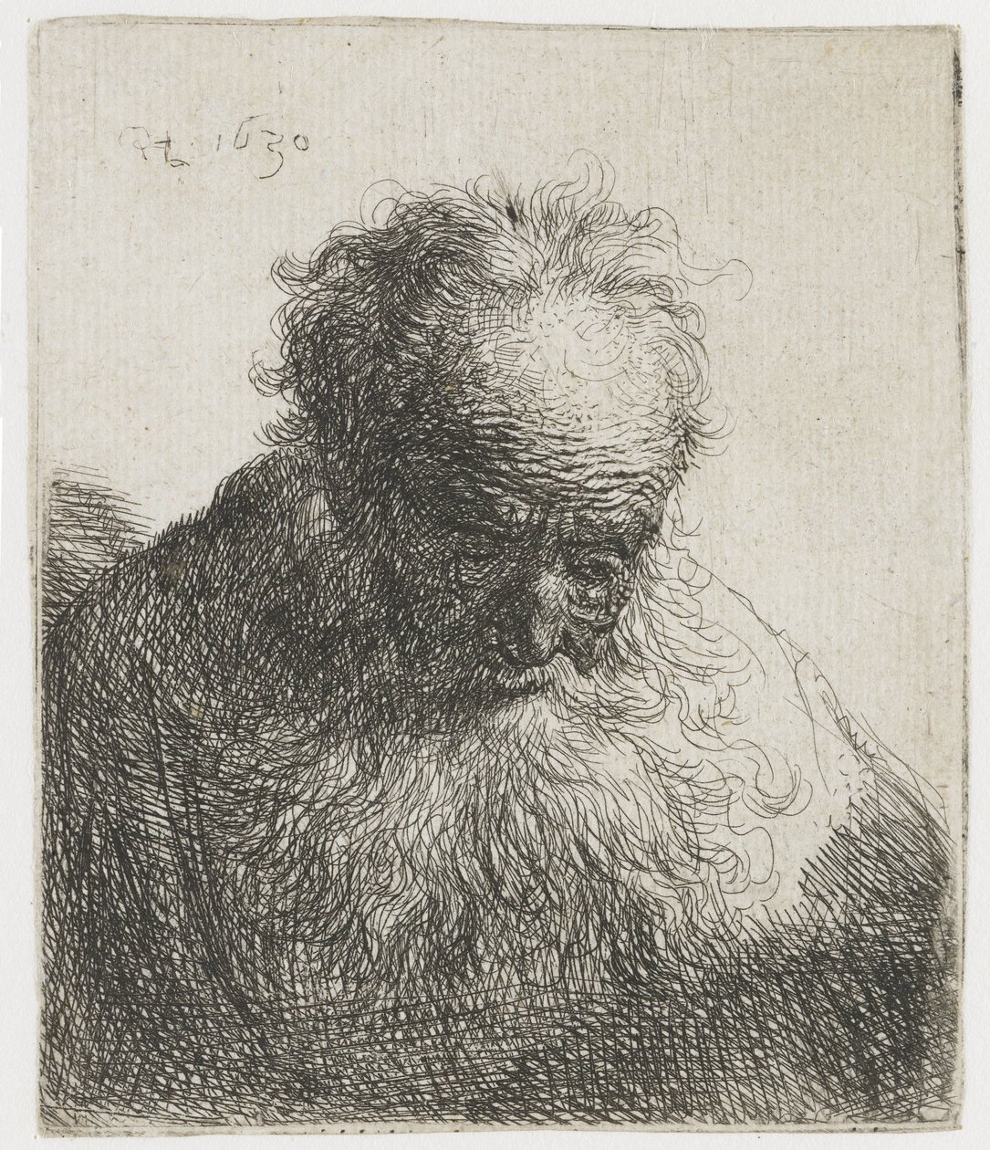 Anciano con barba poblada, el hombro izquierdo sin sombrear
Busto de anciano con barba poblada: la cabeza inclinada hacia delante: hombro izquierdo sin sombrear de Rembrandt van Rijn