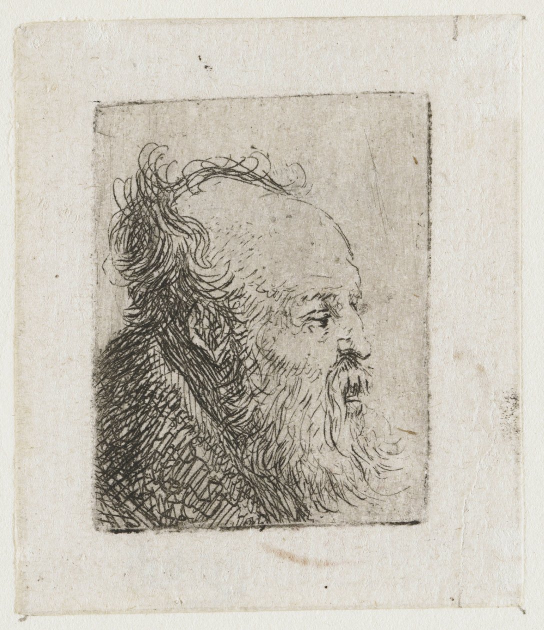 Un anciano barbudo, con la boca entreabierta de Rembrandt van Rijn