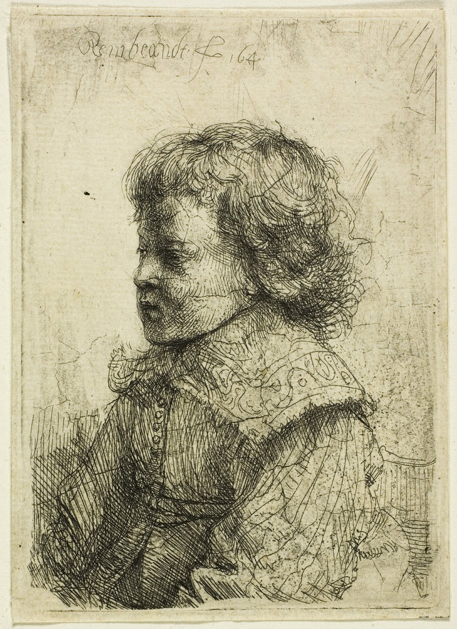 Retrato de un niño de Rembrandt van Rijn