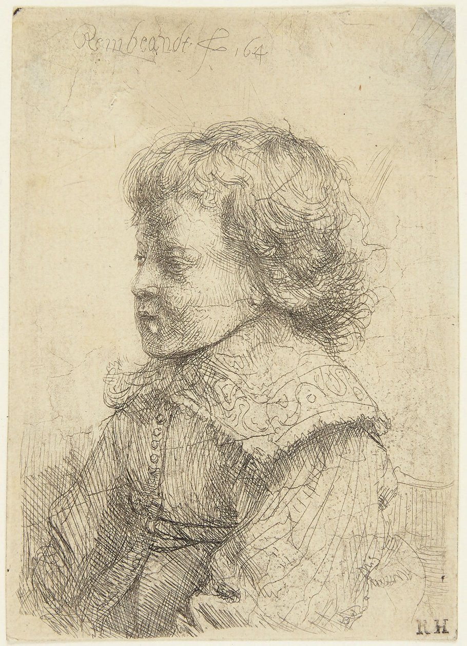 Retrato de un niño de Rembrandt van Rijn