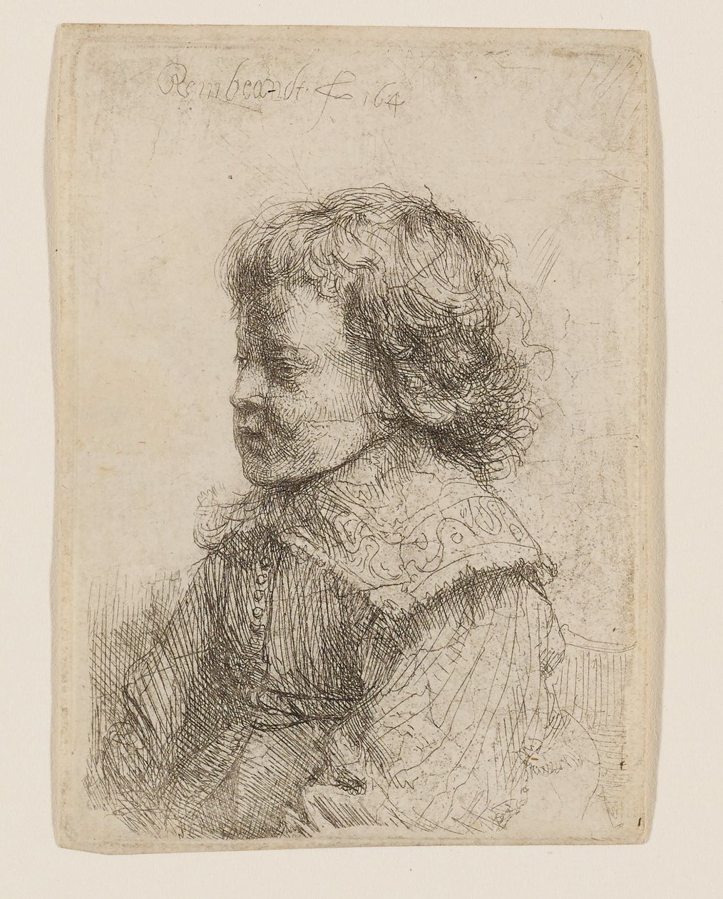 Retrato de un niño de perfil de Rembrandt van Rijn