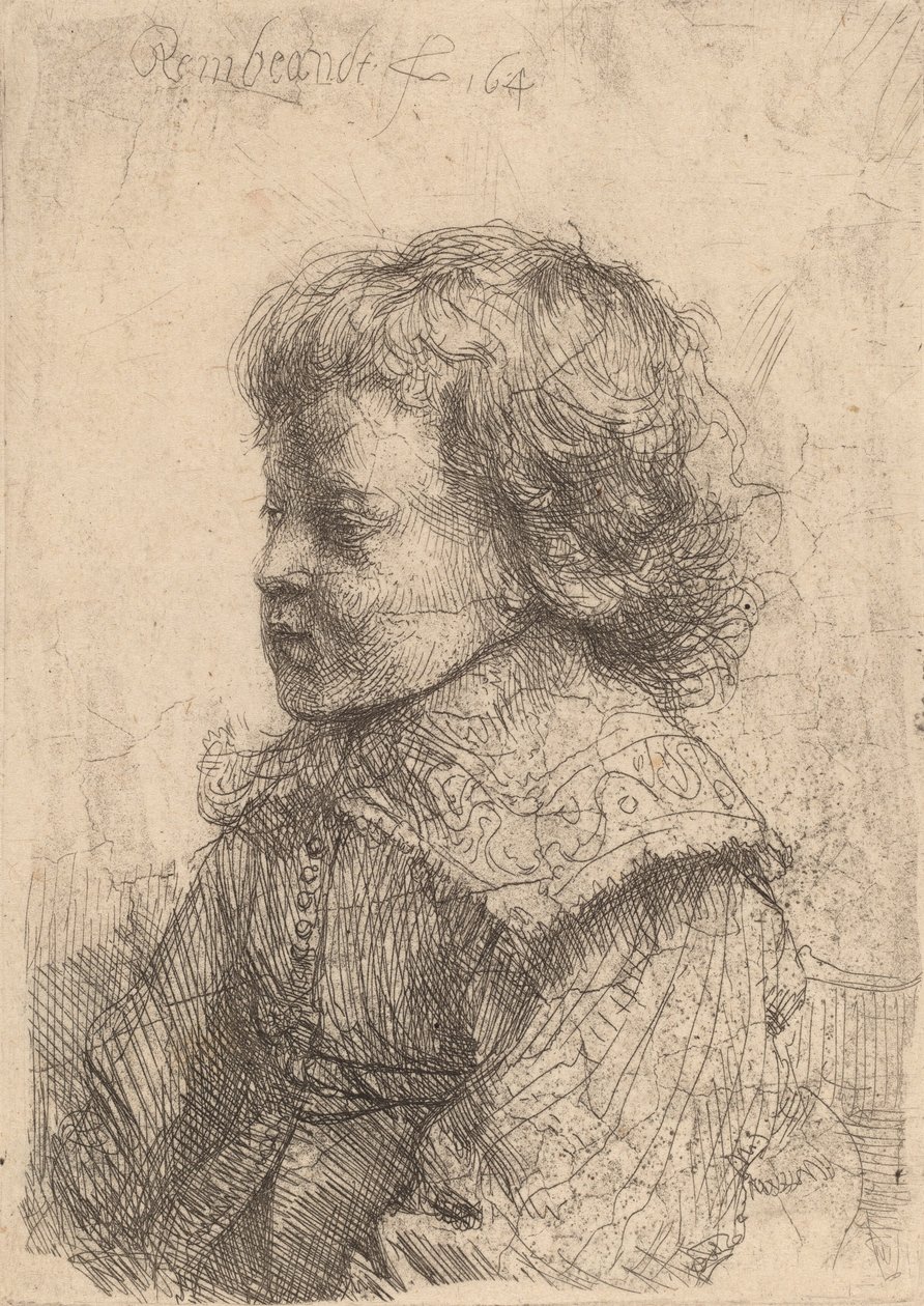 Retrato de un niño de perfil, 1641 de Rembrandt van Rijn