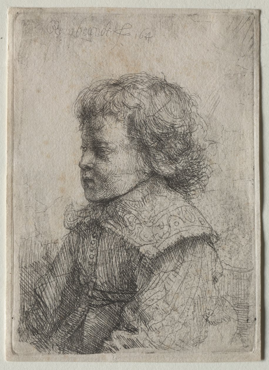 Retrato de un niño de perfil, 1641 de Rembrandt van Rijn