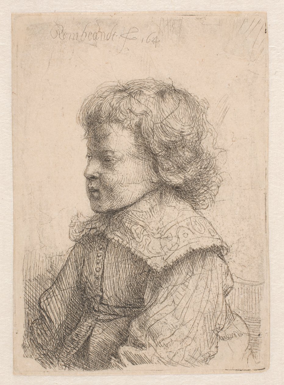 Retrato de un niño, de perfil de Rembrandt van Rijn