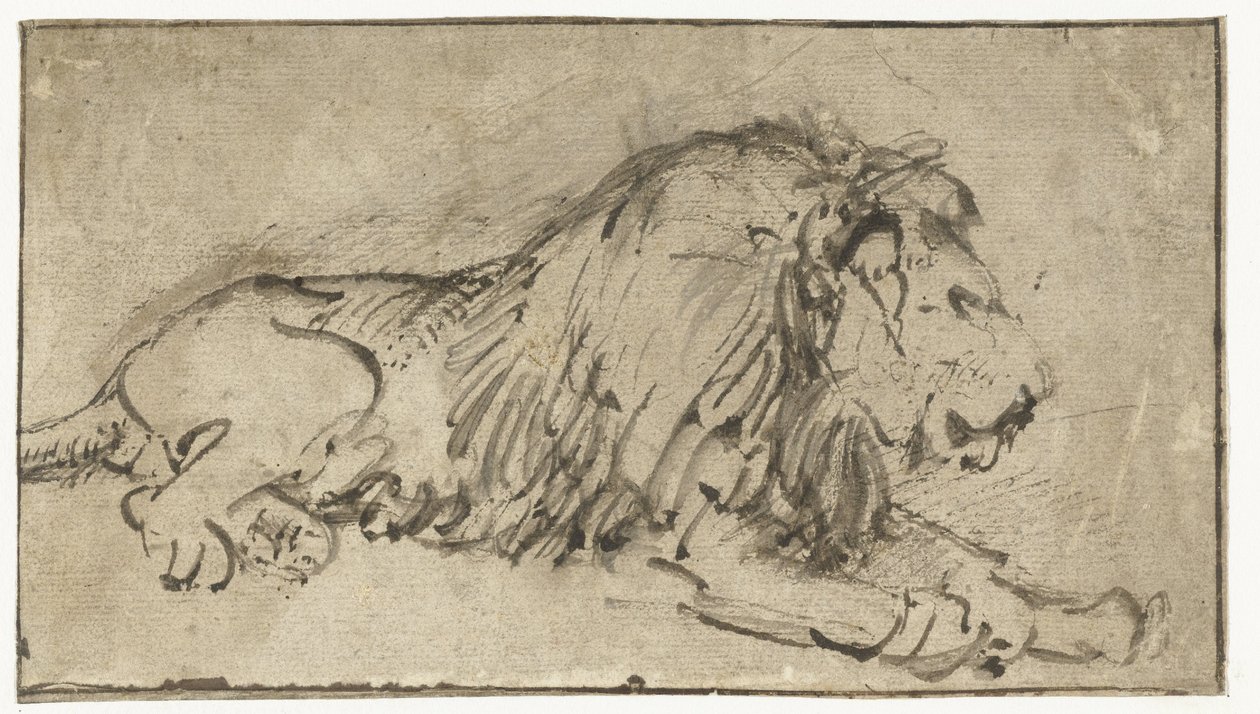 León recostado de Rembrandt van Rijn