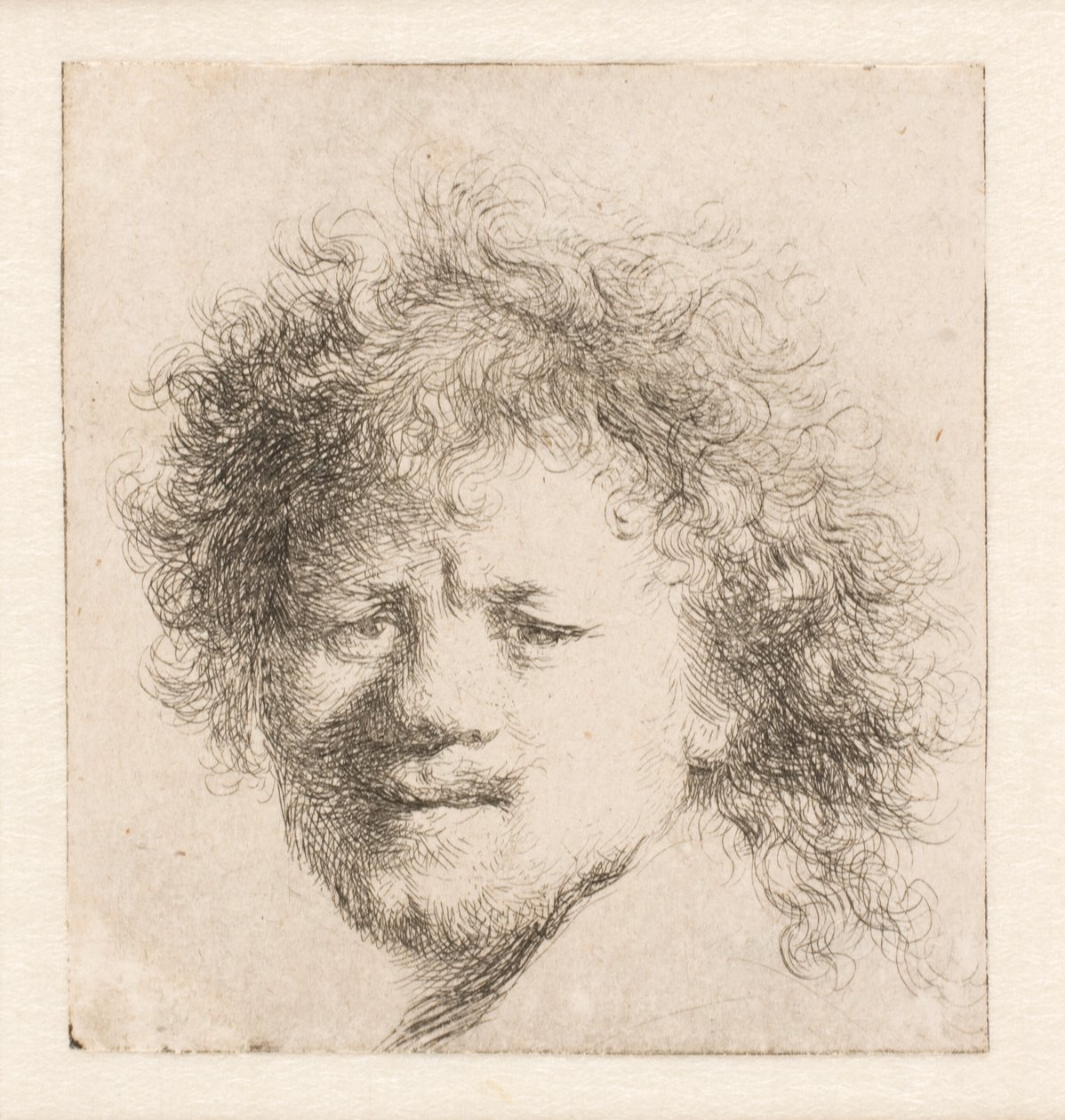 Rembrandt con el pelo largo y tupido: solo la cabeza de Rembrandt van Rijn