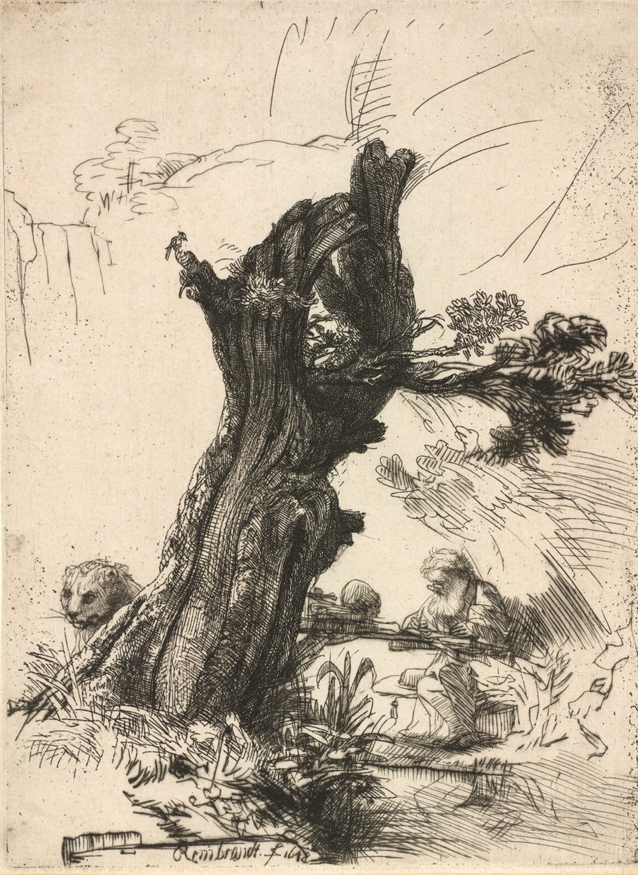 San Jerónimo junto a un sauce trasmocho, 1648 de Rembrandt van Rijn