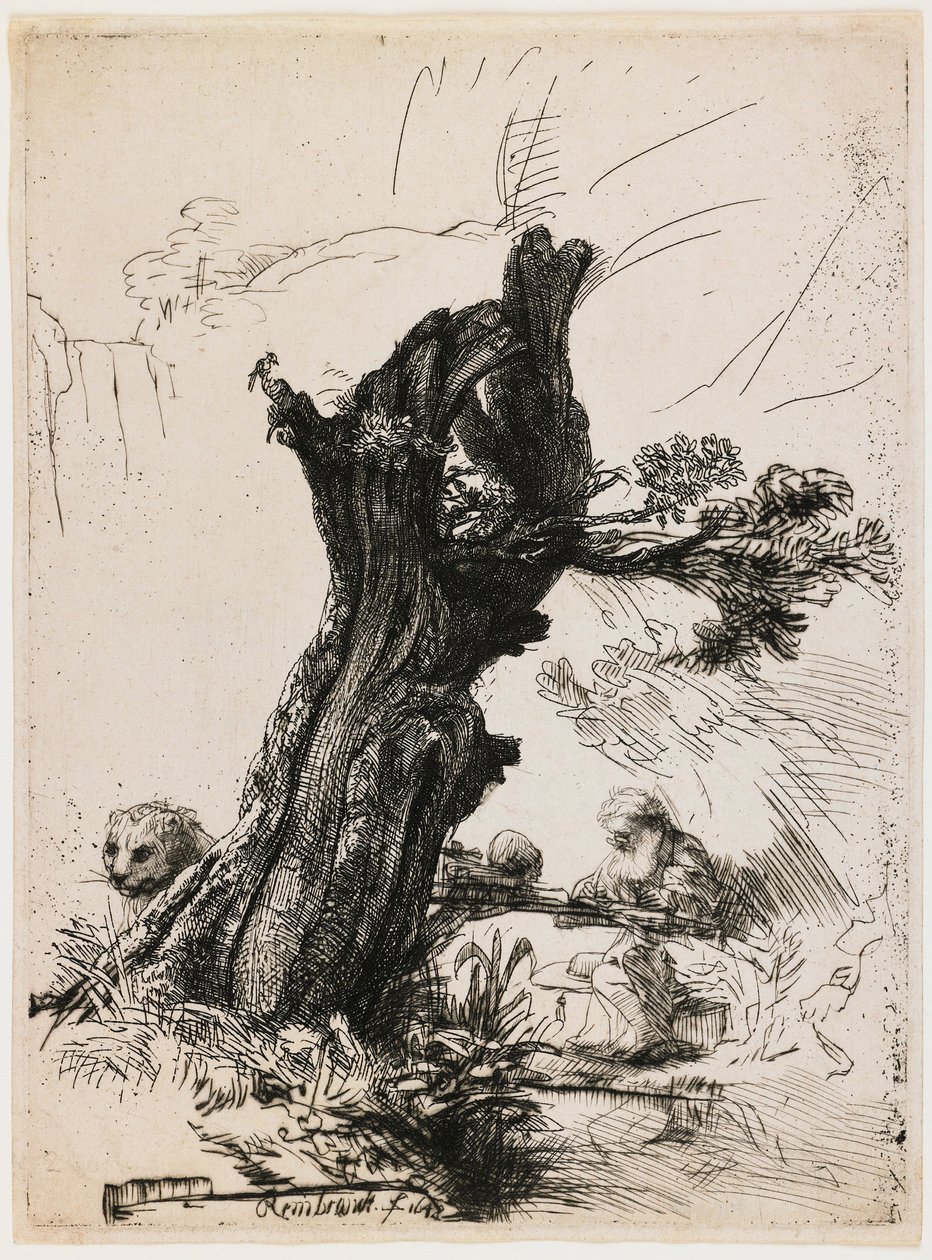 San Jerónimo junto al sauce podado de Rembrandt van Rijn