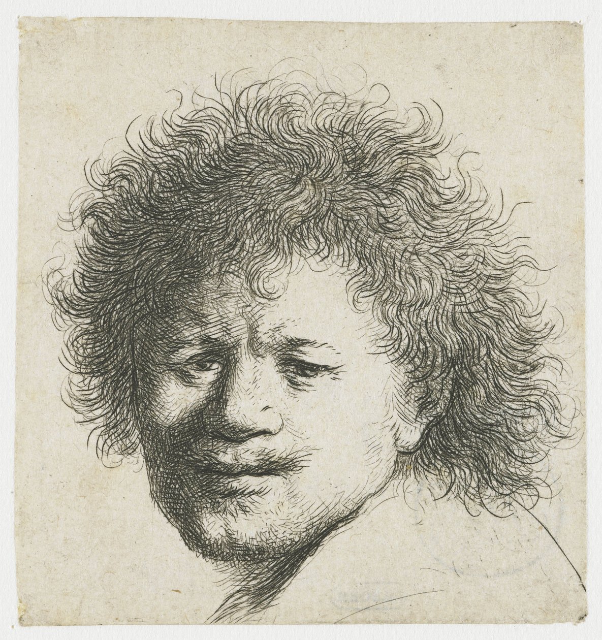 Autorretrato con pelo largo y tupido: sólo la cabeza de Rembrandt van Rijn