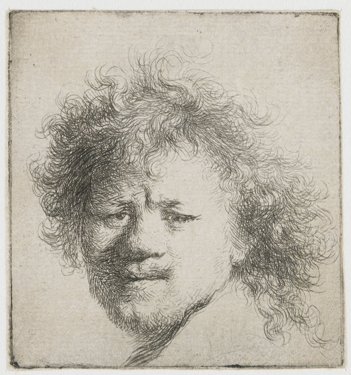 Autorretrato con pelo largo y tupido: sólo la cabeza de Rembrandt van Rijn