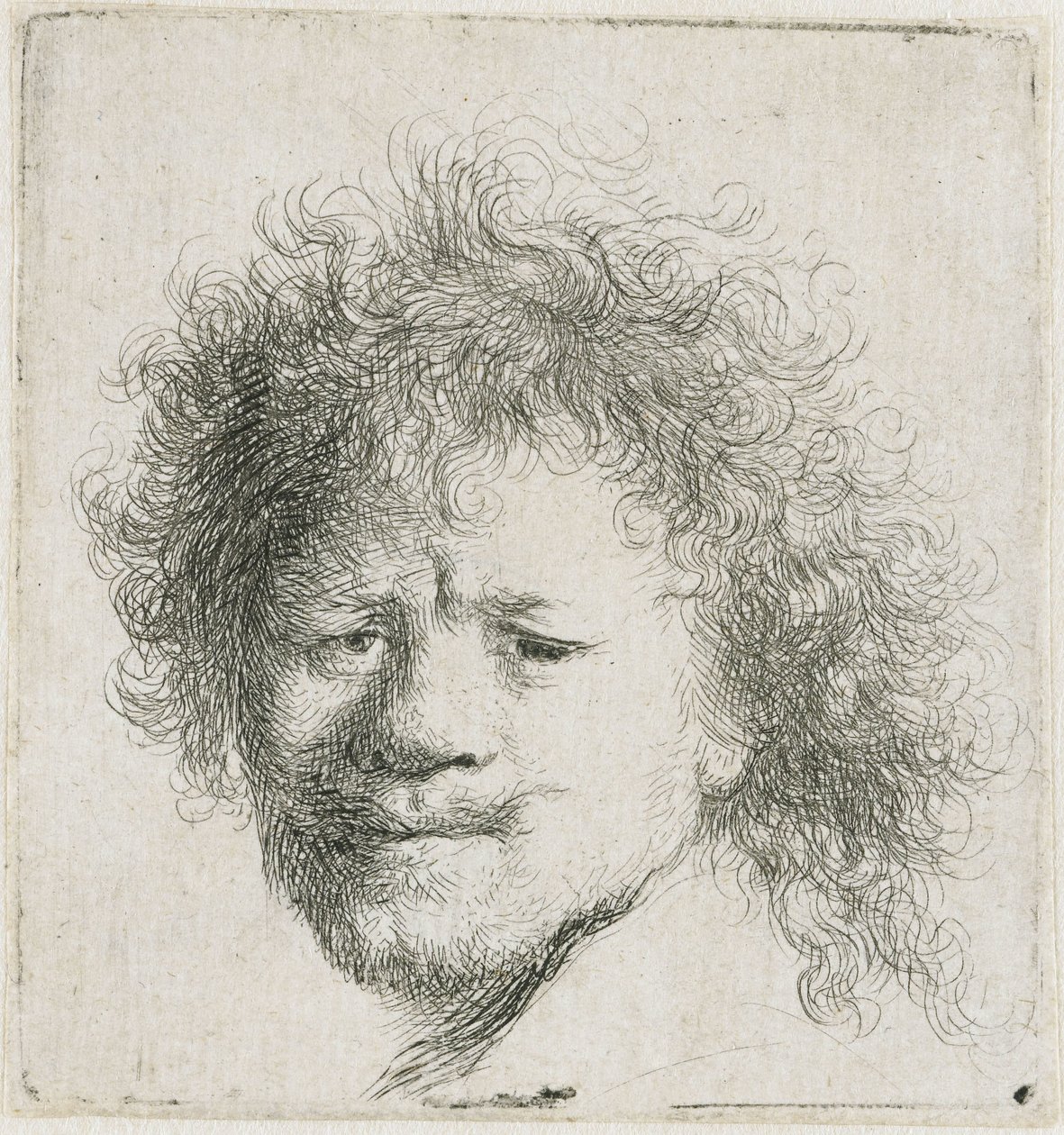 Autorretrato con el pelo largo y espeso: solo la cabeza de Rembrandt van Rijn