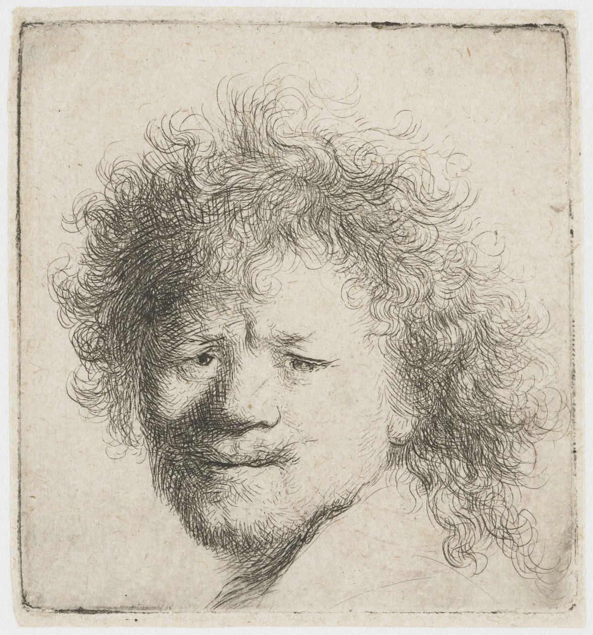 Autorretrato con el pelo largo y tupido: solo la cabeza de Rembrandt van Rijn
