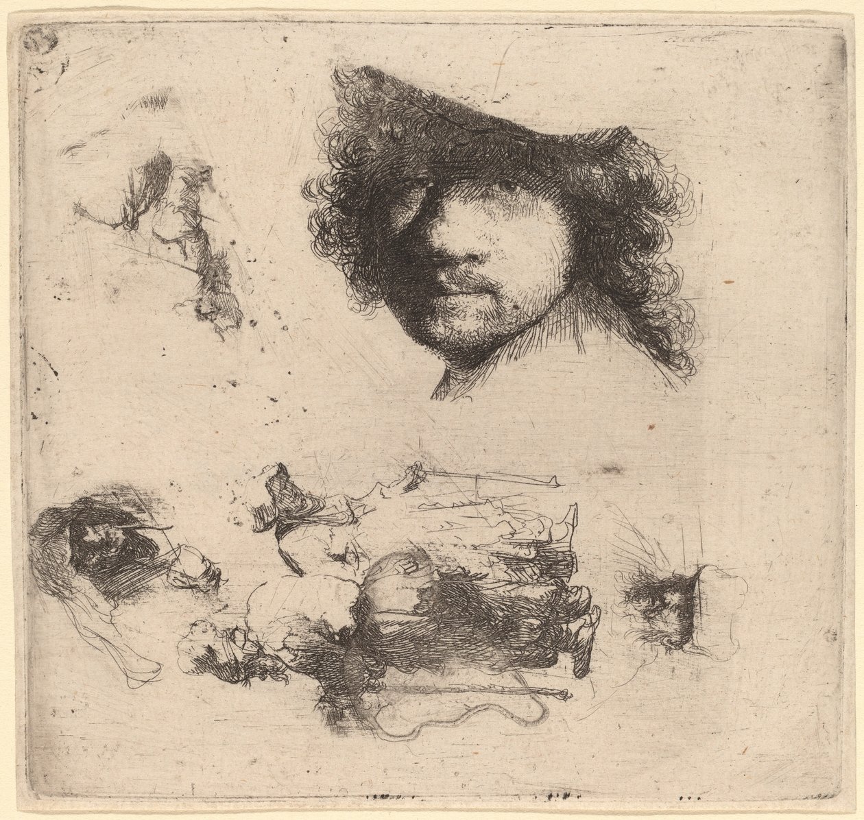 Hoja de estudios incluyendo cabeza del artista, una pareja de mendigos, cabezas de un anciano y una anciana de Rembrandt van Rijn