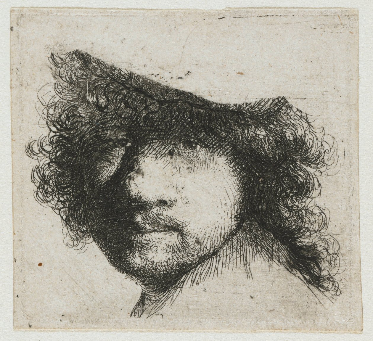 Hoja de estudios: cabeza del artista de Rembrandt van Rijn
