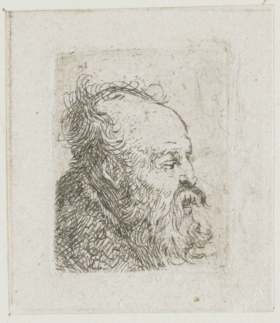 Hoja con estudios de cabezas masculinas: anciano barbudo, casi de perfil hacia la derecha; boca entreabierta de Rembrandt van Rijn