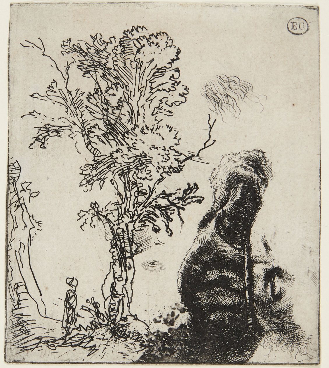 Hoja con dos bocetos: «Un árbol» y «Parte superior de un autorretrato con gorro de terciopelo» de Rembrandt van Rijn