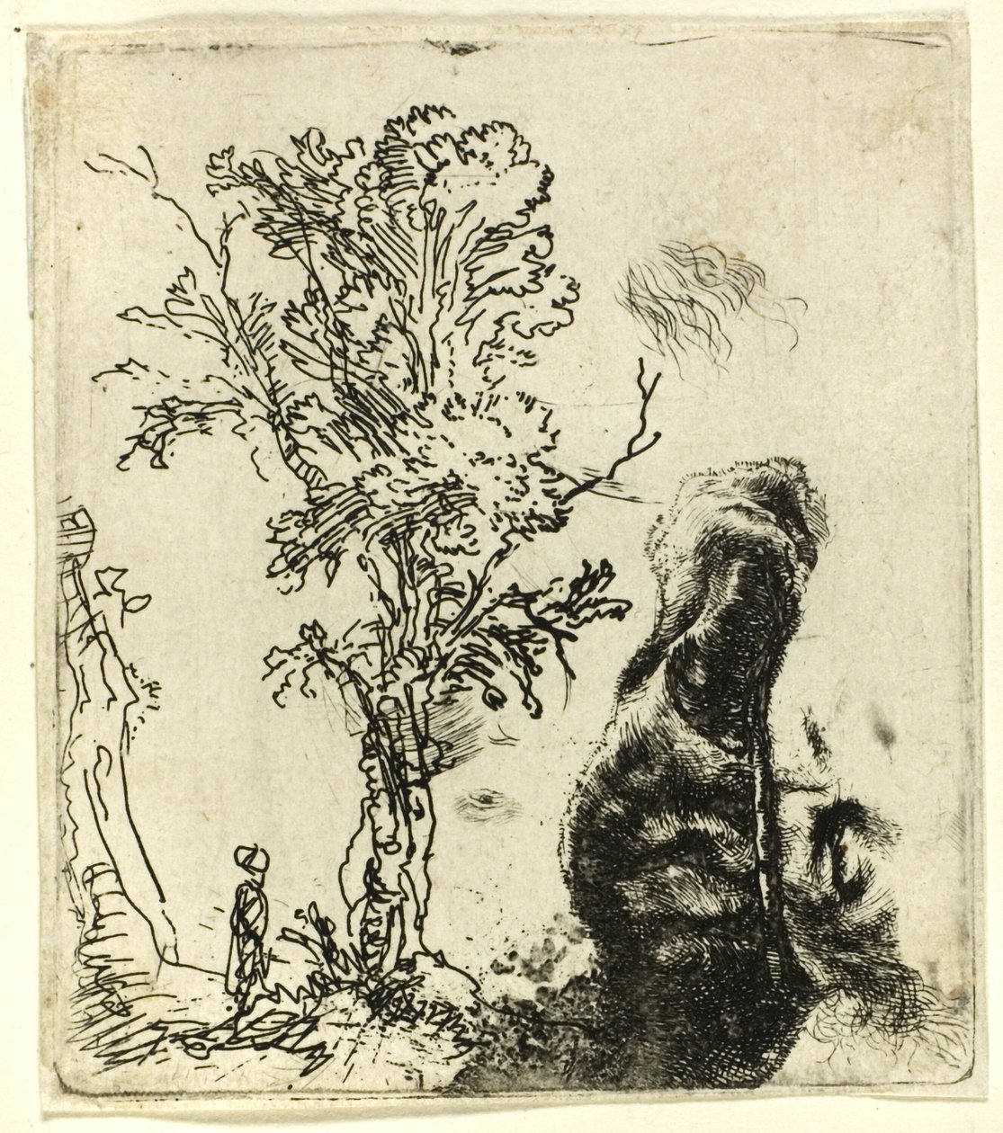 Hoja con dos estudios: un árbol y la parte superior de la cabeza del artista con gorra de terciopelo de Rembrandt van Rijn