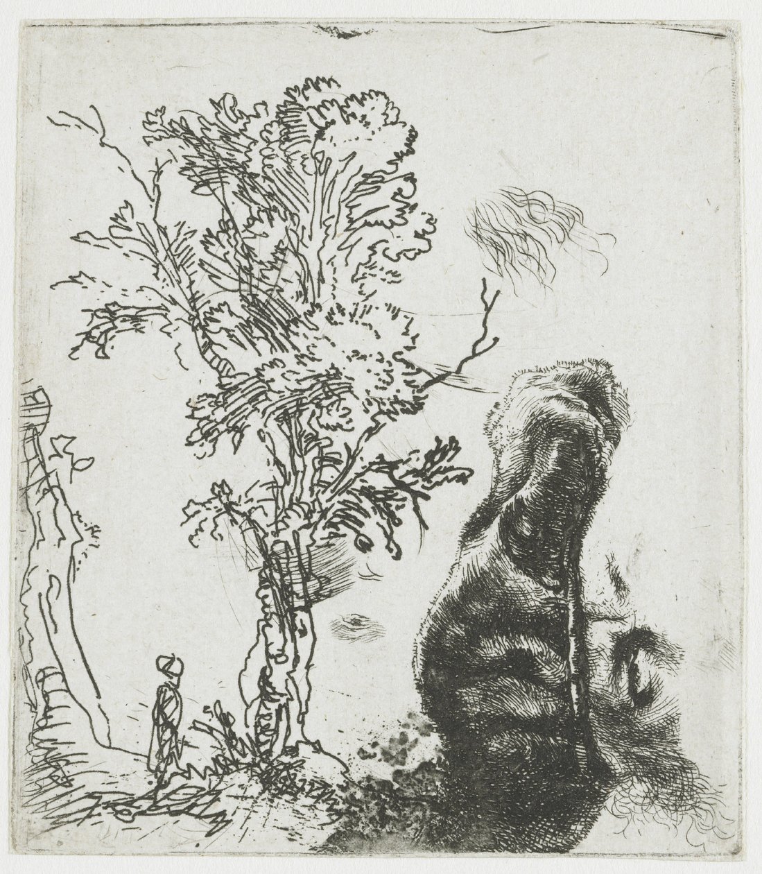 Hoja de estudio con un árbol y la parte superior de la cabeza de Rembrandt con boina de Rembrandt van Rijn