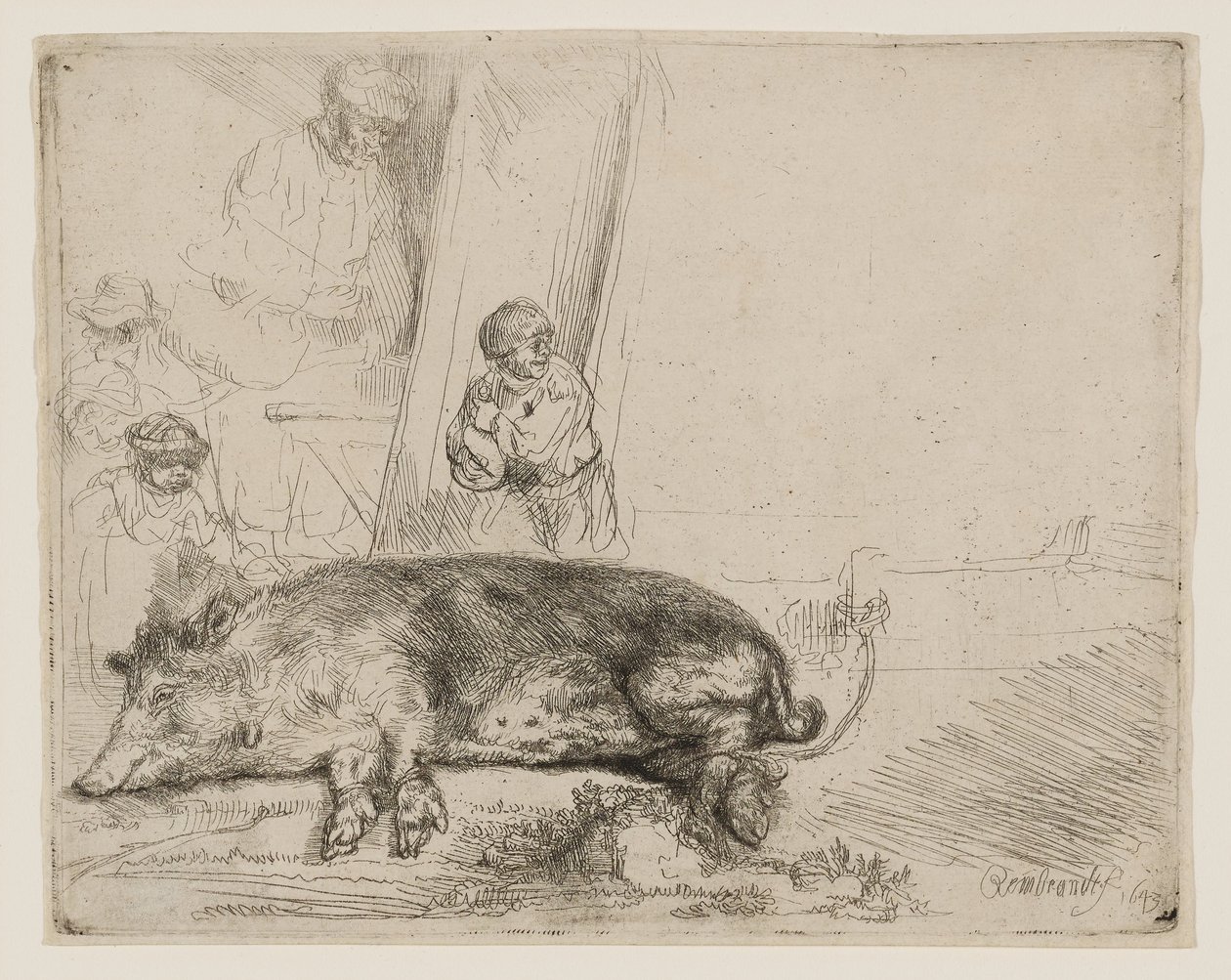 El Cerdo de Rembrandt van Rijn