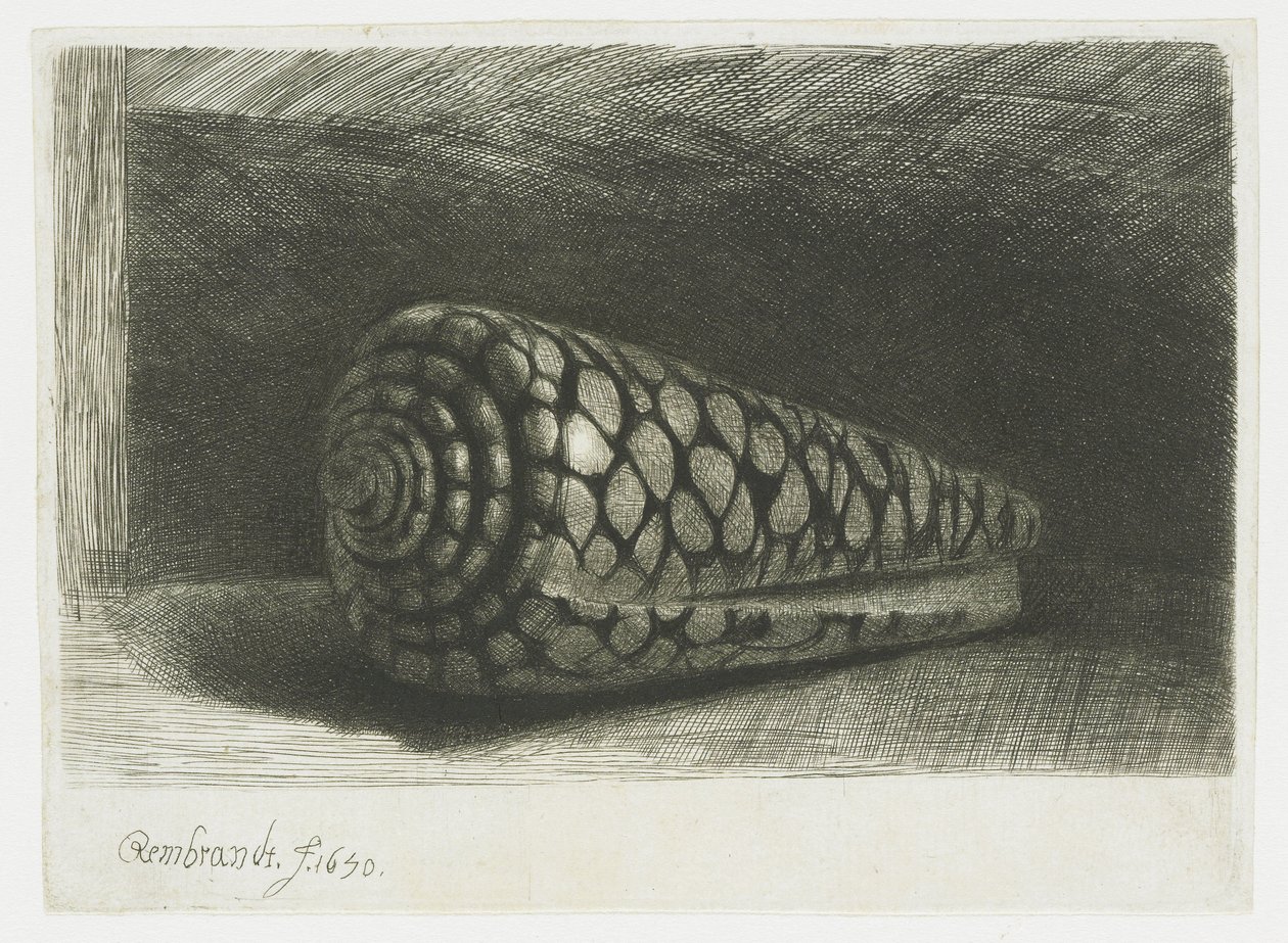 La cáscara de Rembrandt van Rijn