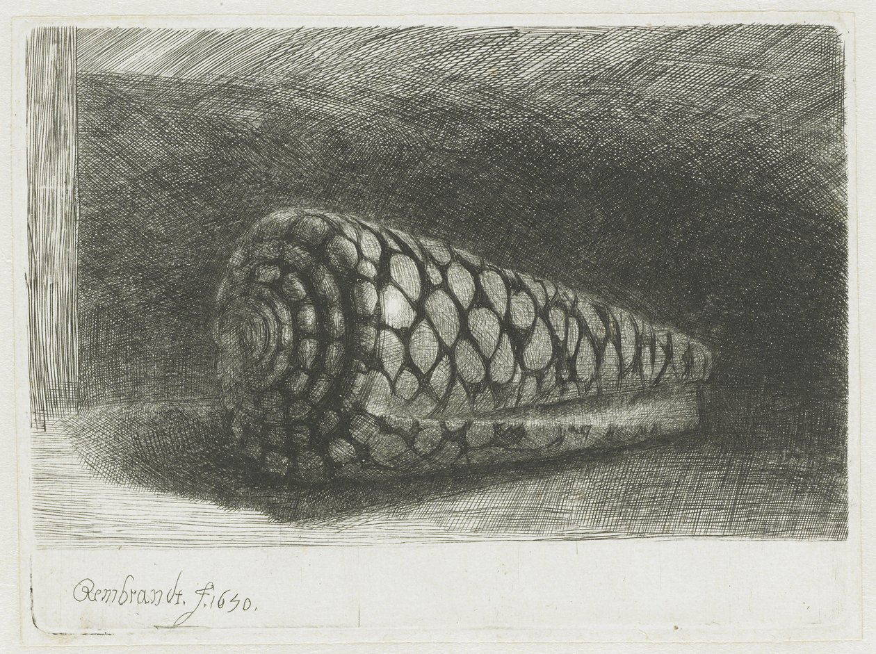 La cáscara de Rembrandt van Rijn