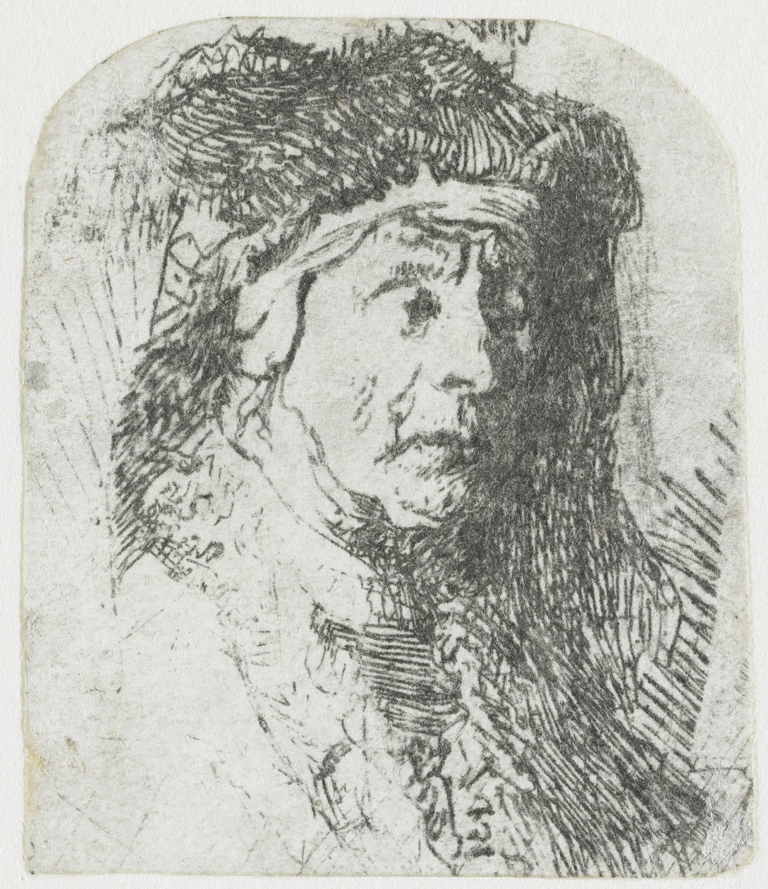 Mujer con manto de pieles
Busto de una anciana con un manto de pieles y un pesado tocado de Rembrandt van Rijn